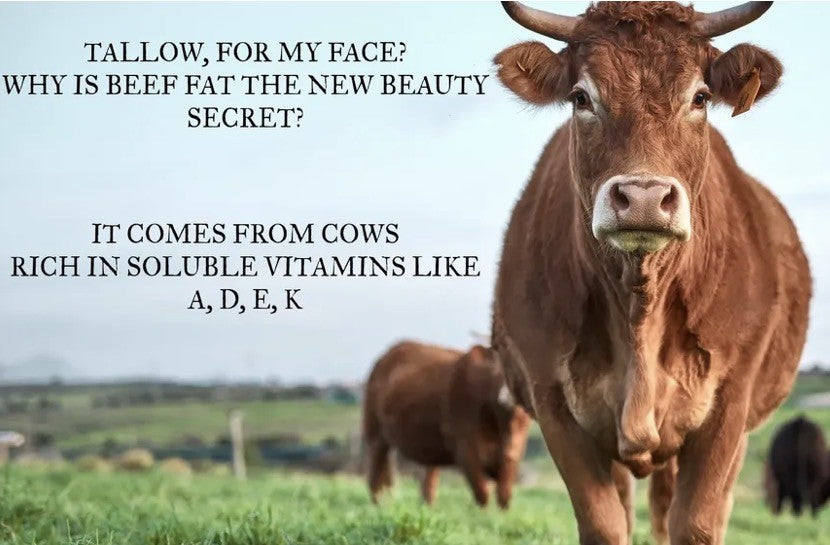 Beef Tallow Face Cream Large bottle 4oz